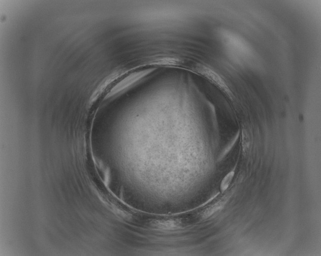 X0000070830349200606230952