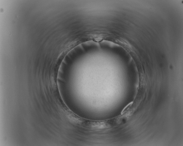 X0000070830377200606230952