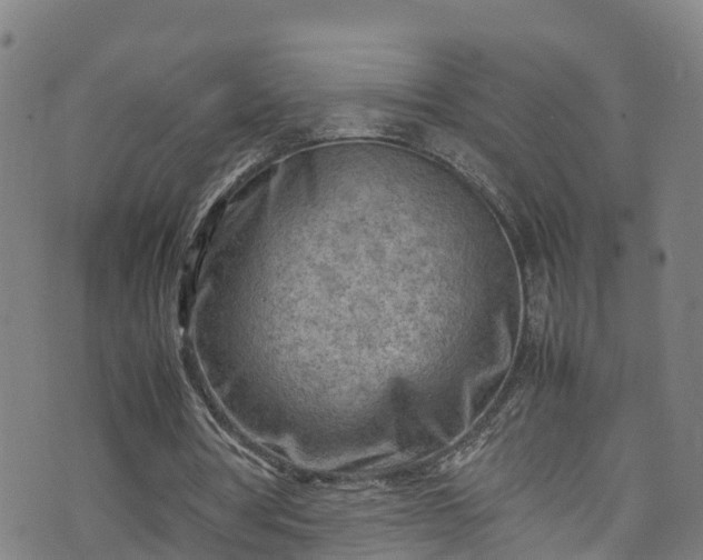 X0000070830386200606230952