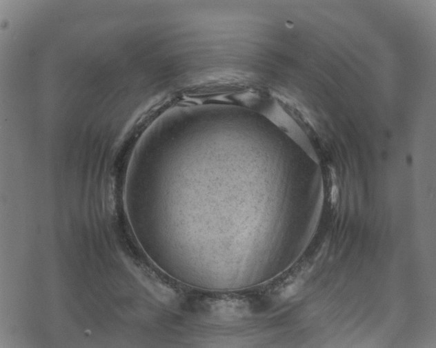 X0000070830400200606230952