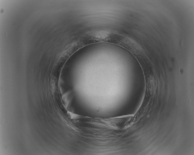 X0000070830412200606230951