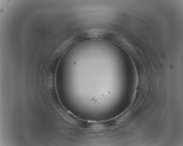 X0000070830413200606230951