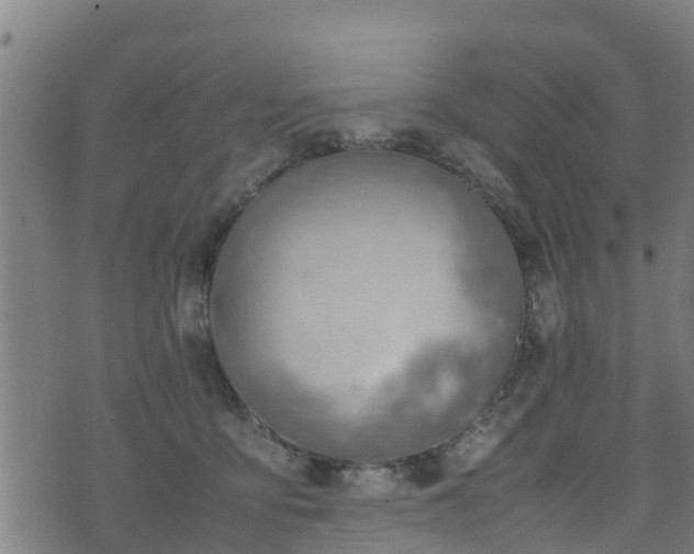 X0000070830419200606230951