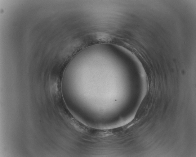 X0000070830424200606230951