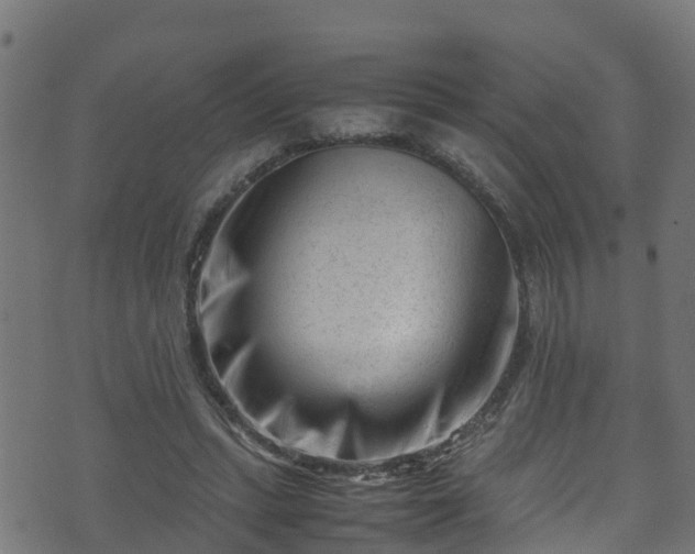X0000070830447200606230950