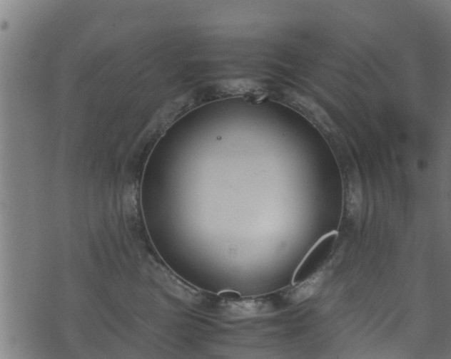 X0000070830473200606230951