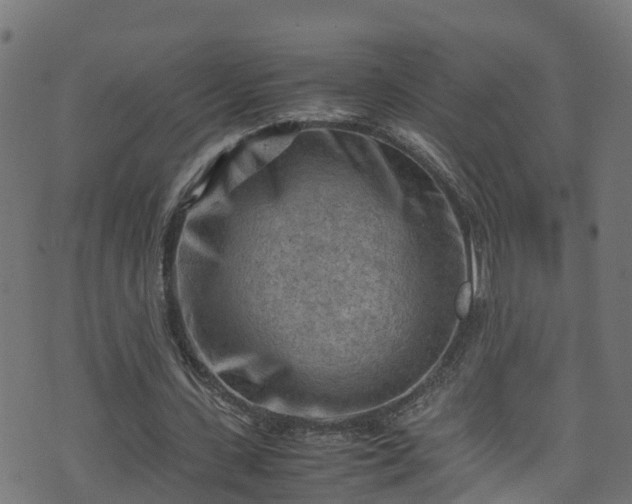X0000070830531200606230949