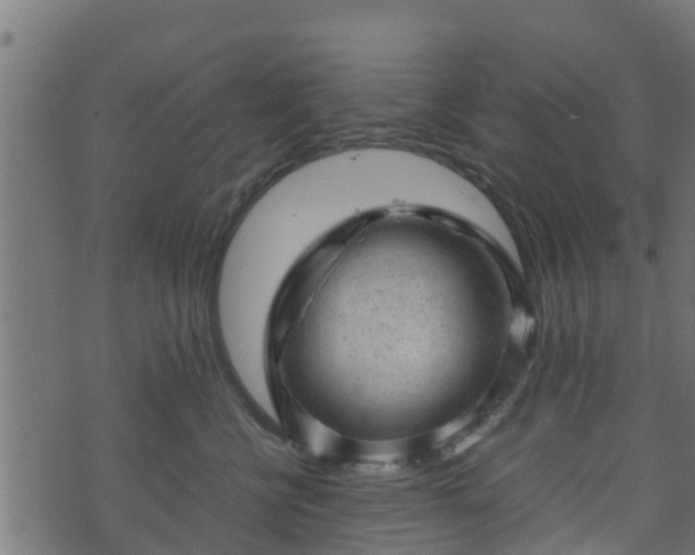 X0000070830570200606230949