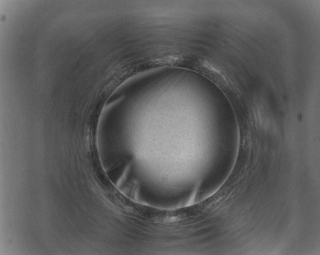 X0000070830647200606230947