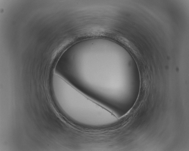 X0000070830677200606230947