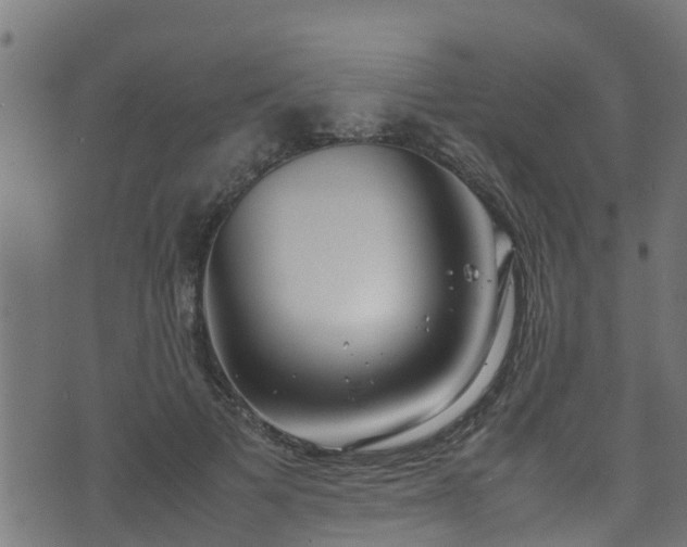 X0000070830697200606230947