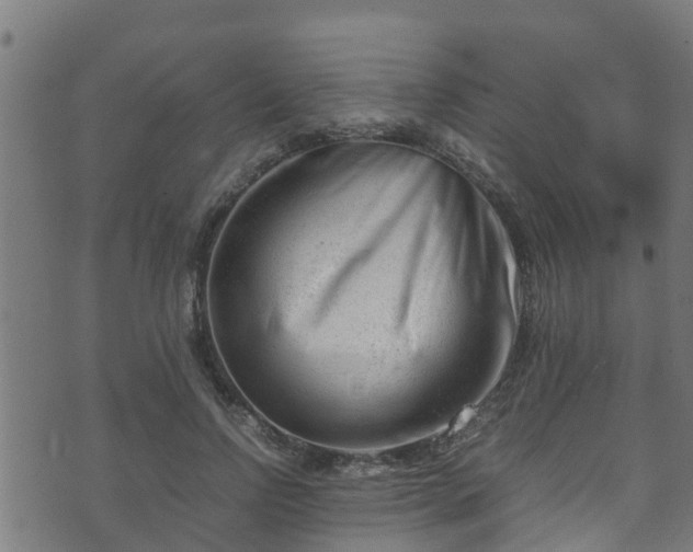 X0000070830742200606230946