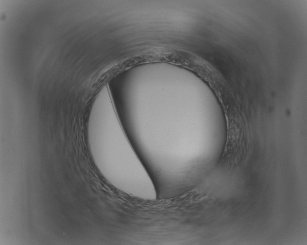 X0000070830773200606230945