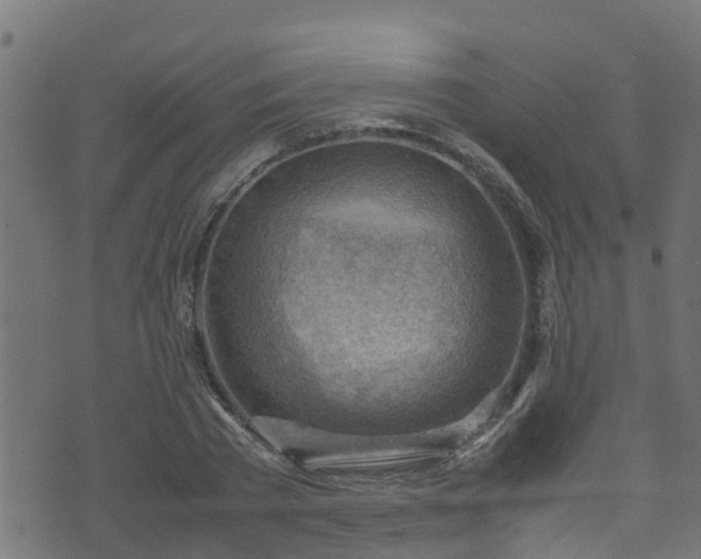 X0000070830785200606230945