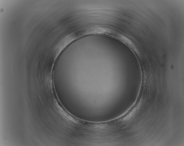 X0000070830802200606230945
