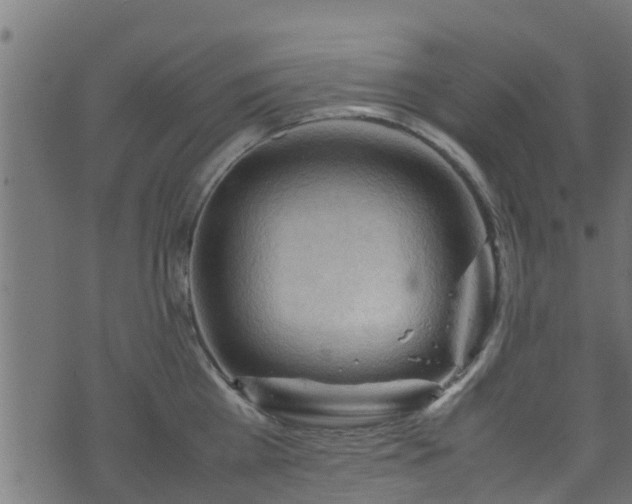 X0000070830809200606230945