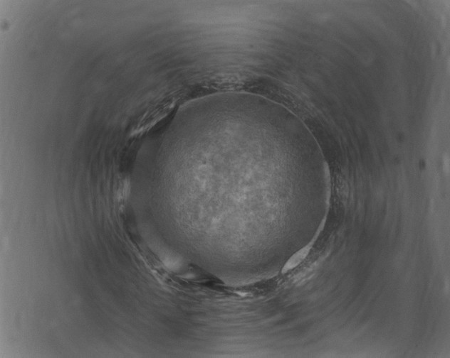 X0000070830818200606230944
