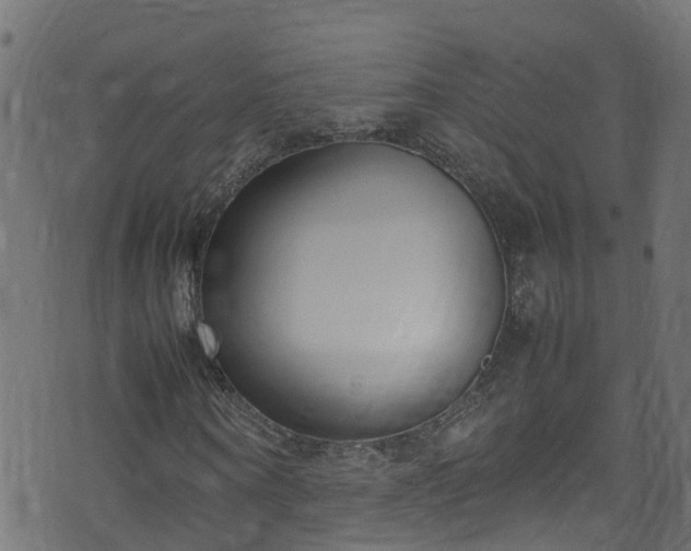 X0000070830866200606230944