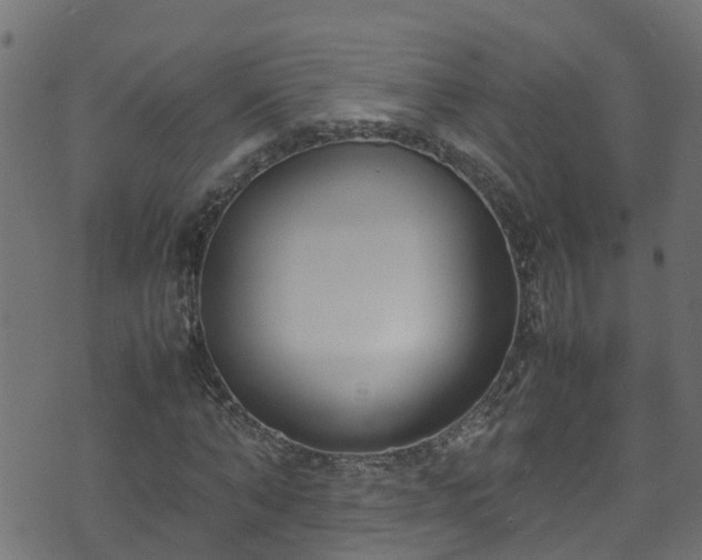 X0000070830870200606230944