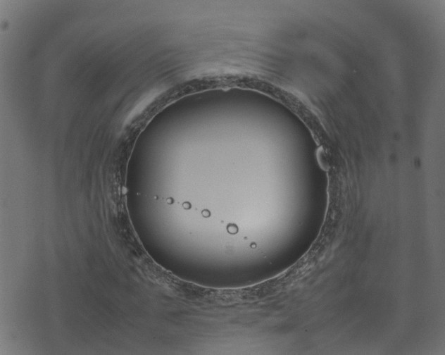 X0000070830871200606230944