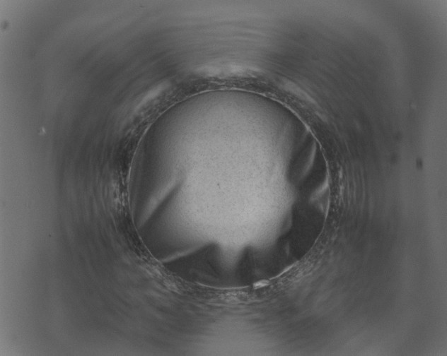 X0000070830966200606230942