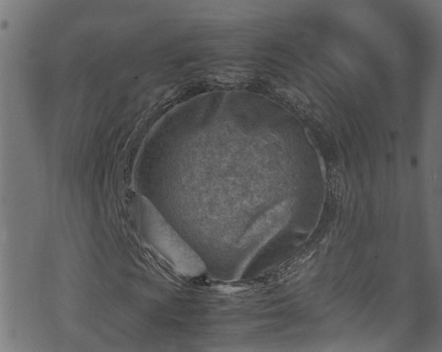 X0000070831009200606230941