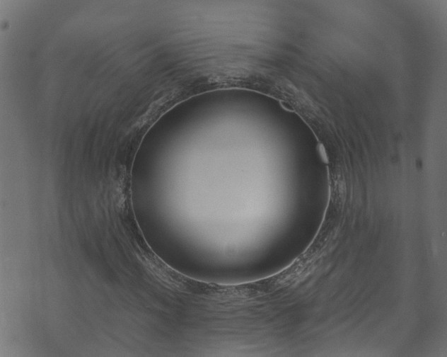 X0000070831012200606230941