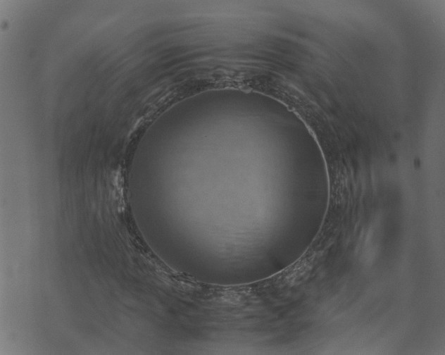 X0000070831013200606230941