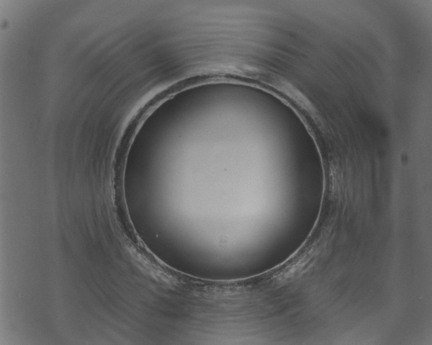 X0000070831020200606230941