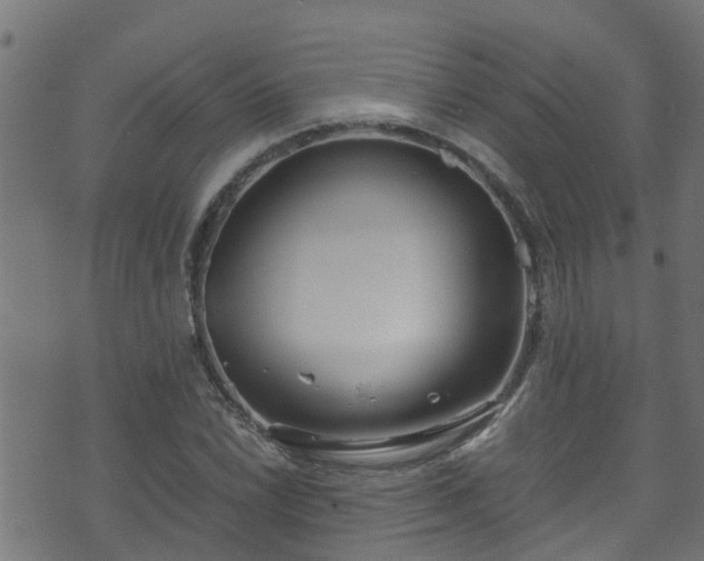 X0000070831022200606230941