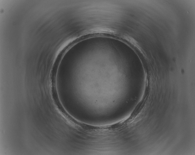 X0000070831024200606230941