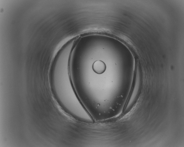 X0000070831030200606230941