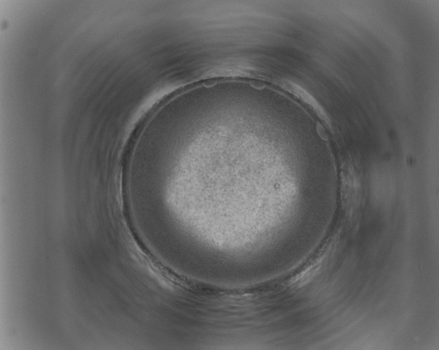 X0000070831035200606230941