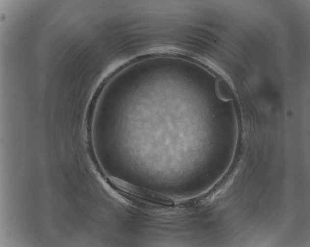 X0000070831037200606230941