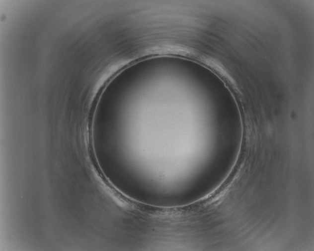 X0000070831040200606230941