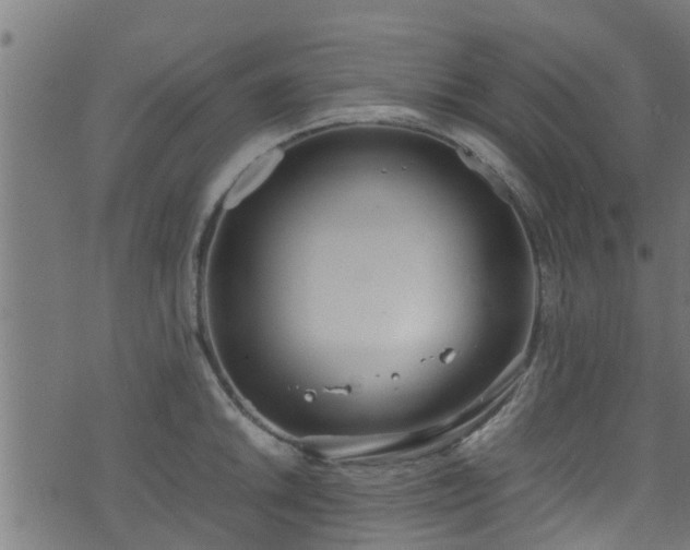 X0000070831046200606230941