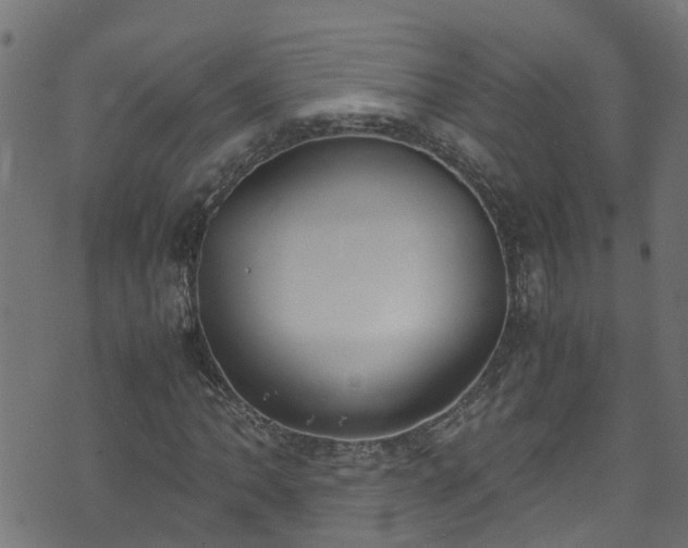 X0000070831062200606230941