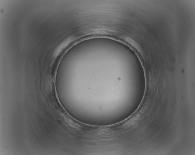 X0000070831067200606230941