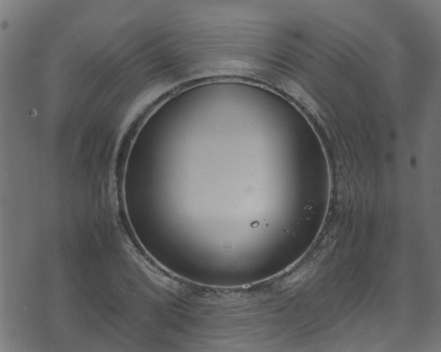 X0000070831072200606230941