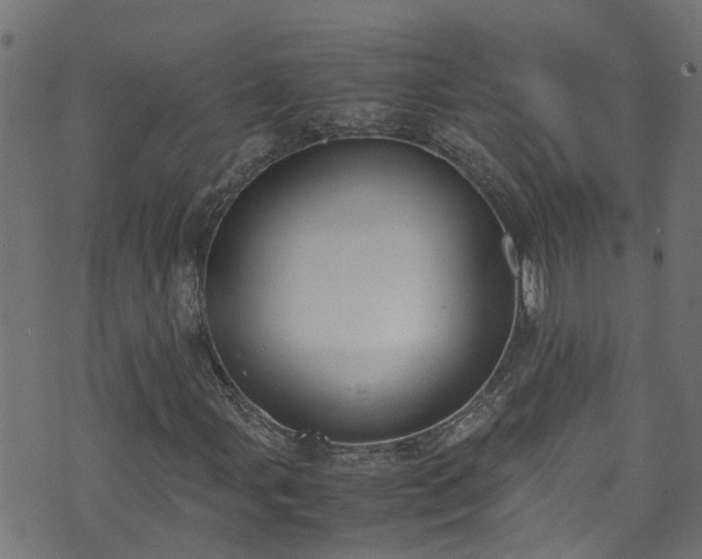 X0000070831107200606230939
