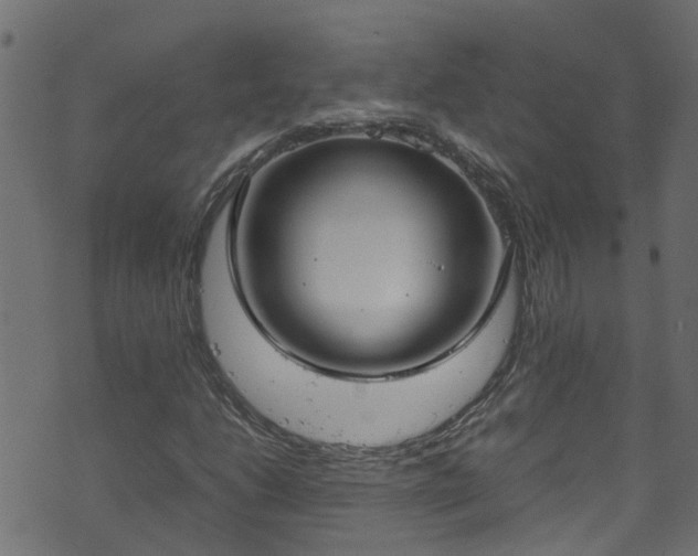 X0000070831206200606230938