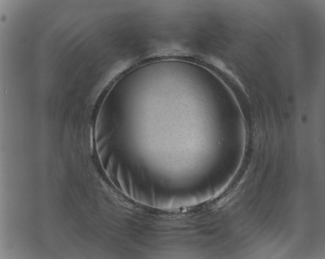 X0000070831221200606230938