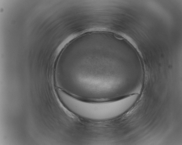 X0000070831245200606230938