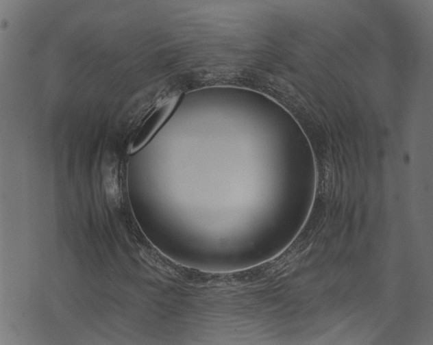 X0000070831250200606230938