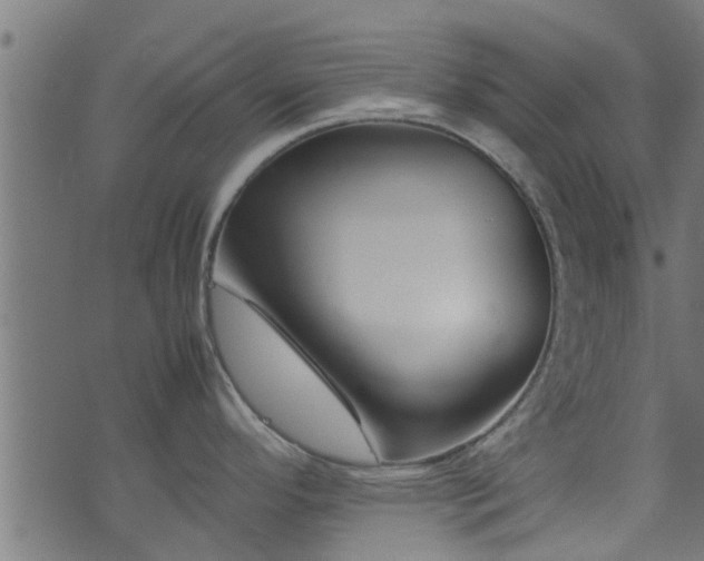 X0000070831296200606230937