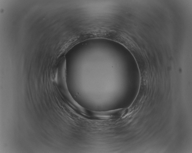 X0000070831298200606230936