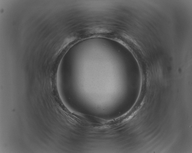 X0000070831305200606230936