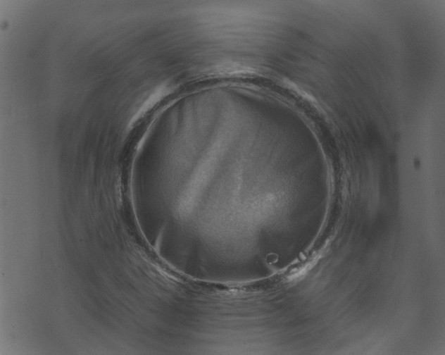 X0000070831306200606230936