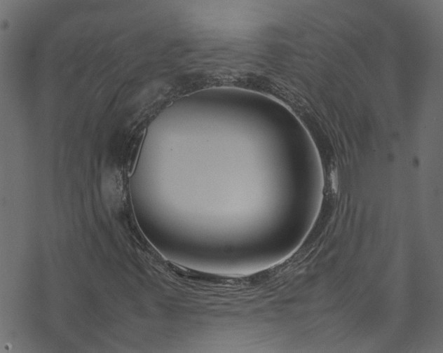 X0000070831347200606230936