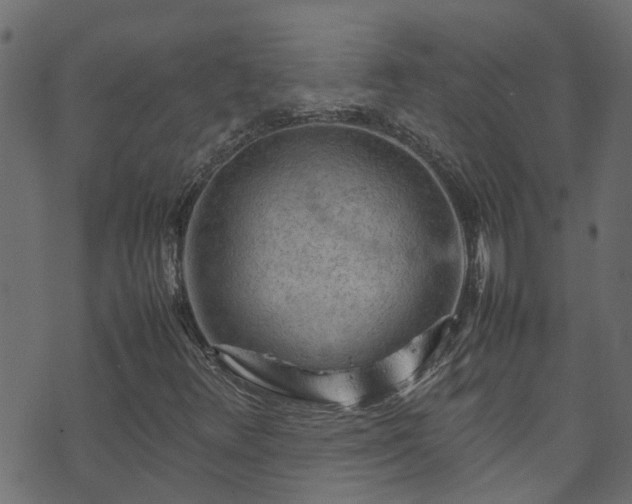X0000070831348200606230936